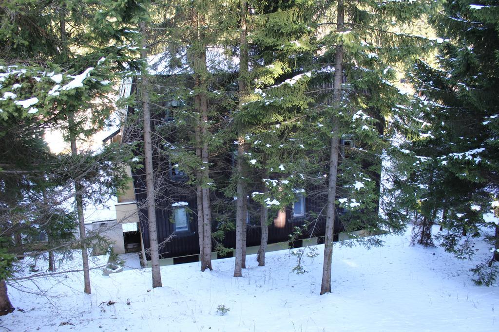 Apartmani Colic Власич Экстерьер фото